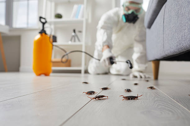 Commercial Kitchen Cockroach Control in Indian Trail
